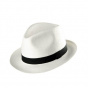 Blue brother straw style hat