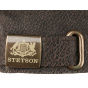 Brown Liberty Leather Baseball Cap Stetson