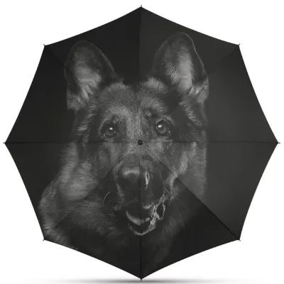 Parapluie Pliant Automatique Tête De Chien - Happy Rain