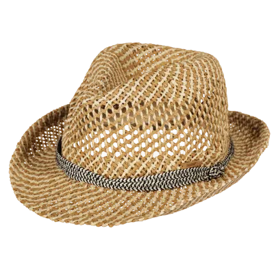 Chapeau Trilby Hydrang Paille Papier - Barts