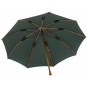 Green Shepherd's Umbrella