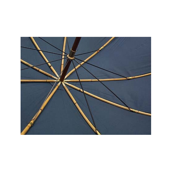 Parapluie De Berger Bleu